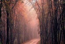 库里39分汤神对阵老东家22分 勇士险胜独行侠.