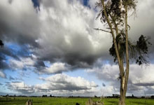 冠军赛爆大冷!奥运亚军0:3出局,东道主开门黑,钱天一丢局过关.