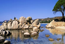 一号娱乐官网:前阿森纳总经理:酋长球场扩建要三思,要考虑门票需求.